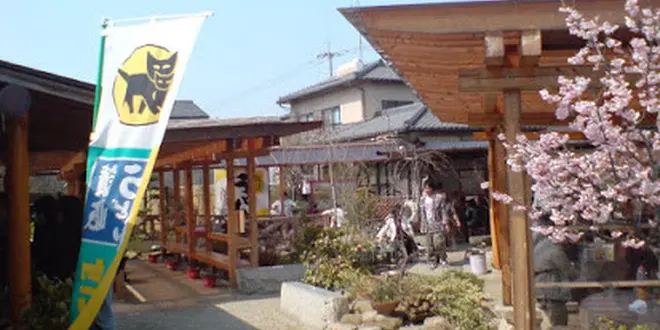 日帰り京都からさぬきの旅🐥