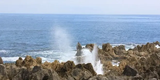 【気仙沼】観光パンフレットでは紹介されない気仙沼を巡る(入門編)