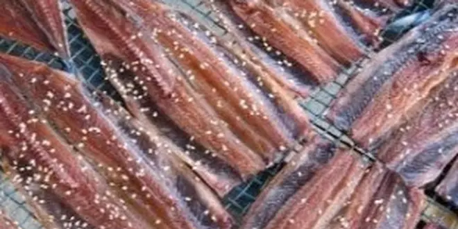 淡路島の南あわじの温泉♨でのんびり、うずしおクルーズ、おみやげは地元の海産物店へ！