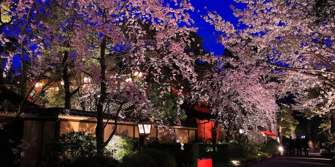 2018秋のデート