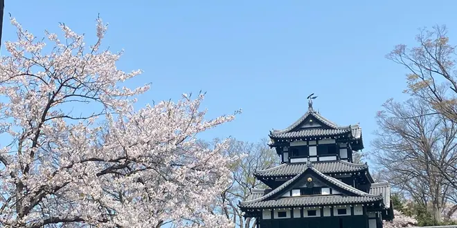 新潟高田城〜長野野沢温泉