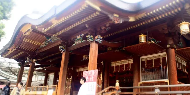 湯島天神と猫を巡る