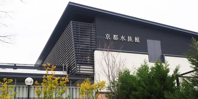 京都のおさかなさん