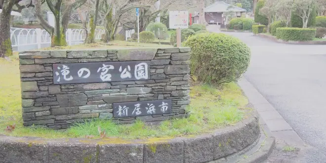 パンを持ってピクニック♡お手軽ピクニックプラン(愛媛県新居浜市 編)