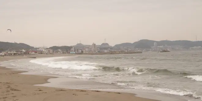 みさきまぐろきっぷで三浦半島を満喫する1日♪