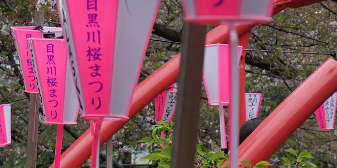東京ぶらりで満喫しましょう。