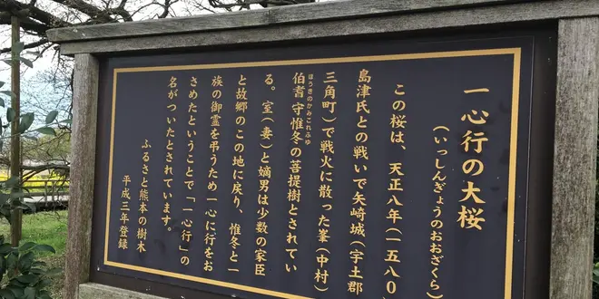 【阿蘇時間19 花はな華ハナ】