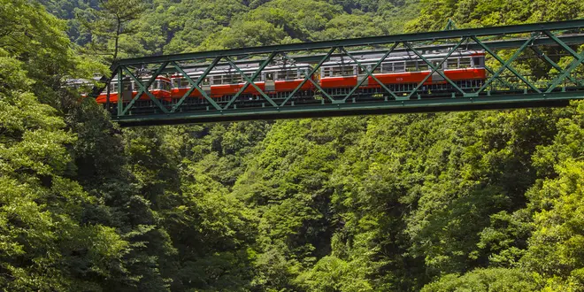 箱根日帰りひとり旅🚃🚠🚌
