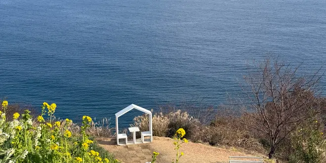 【静岡 熱海】お散歩パート2 青い海 青い空 菜の花の香り ゆったりした時間
