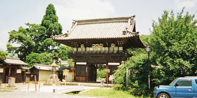 京都　ぬこの旅