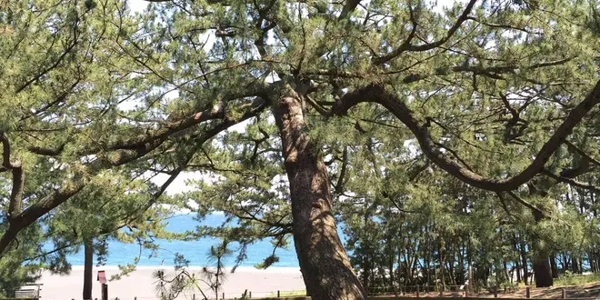 タイムスリップ⁈