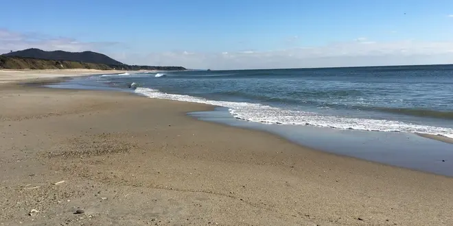 ✨海の散歩コース  渥美  表浜