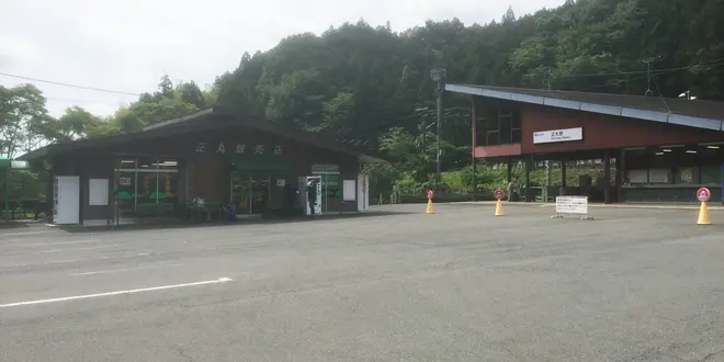 山里に咲く花を愛でながら〜埼玉県飯能市 伊豆ヶ岳