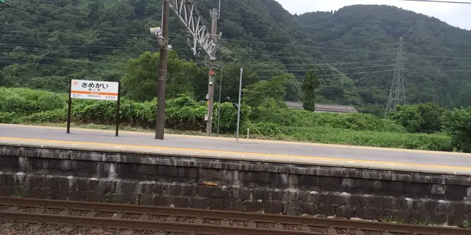 梅花藻、街歩き👫