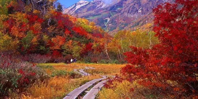 白馬栂池高原の紅葉