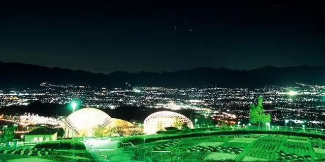 山梨