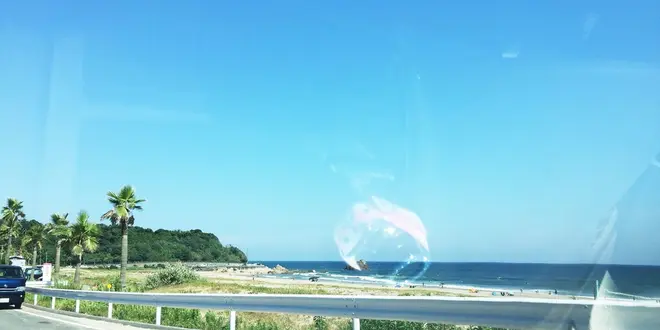 海を満喫