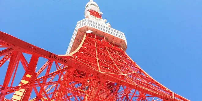 東京タワーがシンボルの港区へおでかけしよう🗼🍴🐬