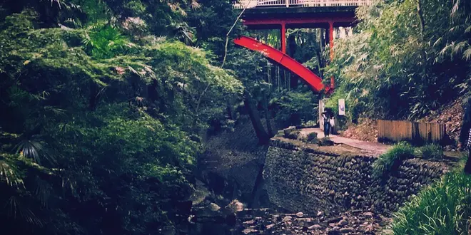 等々力渓谷
