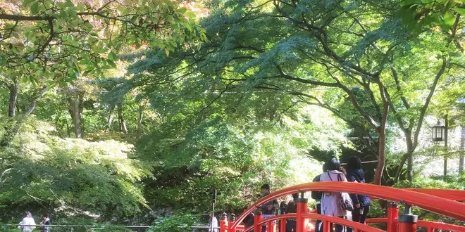 紅葉を求めて掃部ケ岳ハイキング＆伊香保温泉一泊二日