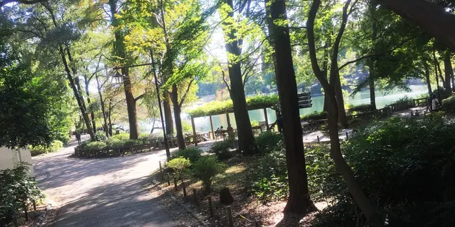 ふたりでまったり過ごしたいなら！吉祥寺の定番デートプラン♡