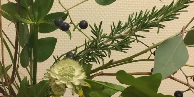 Flower Shop