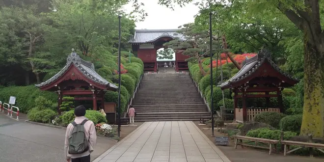 護国寺から神楽坂までお散歩