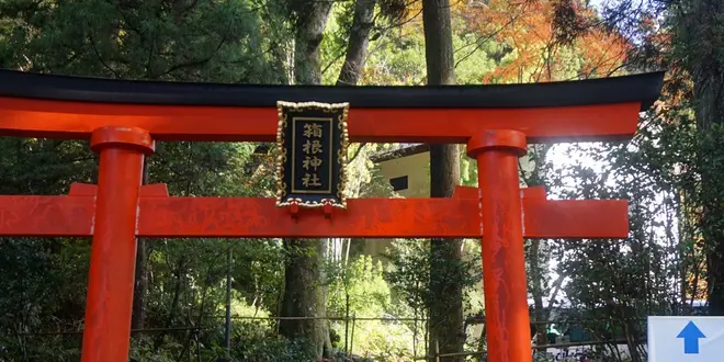 元箱根！で心を癒す