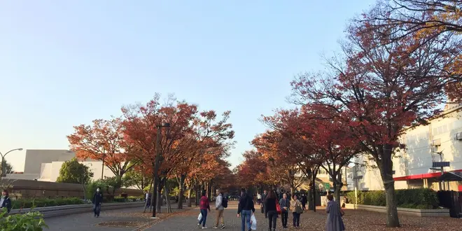 秋の渋谷🍁ゆったりショッピング
