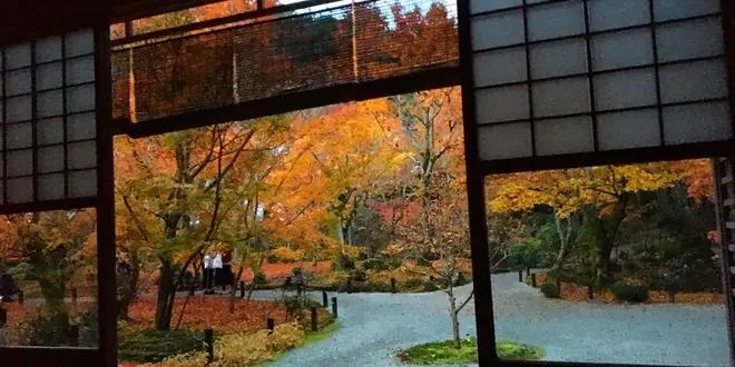 【秋の京都は裏切らない！】そうだ、京都行こう！紅葉編