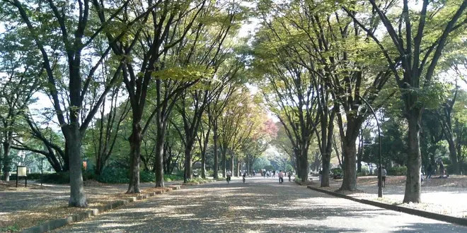 駒澤大学前駅周辺で芸能人が過ごす休日
