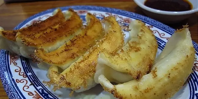 お昼から出発！🚗宇都宮餃子ドライブの旅🥟〜 7軒制覇🏅〜