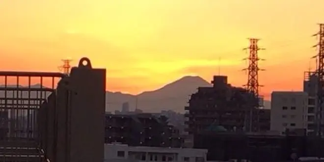 🗻おにぎり🍙でまったりピクニックしよう🍱【成増・東武練馬エリア】【板橋区】
