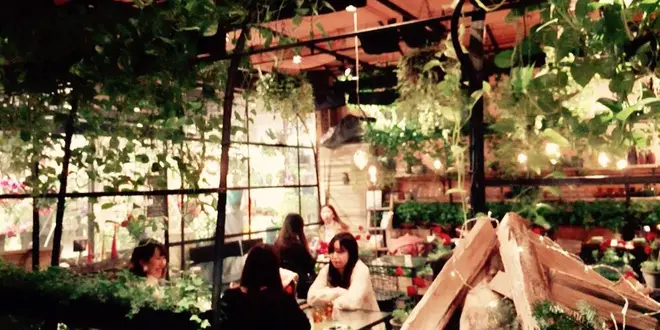 表参道オススメカフェ