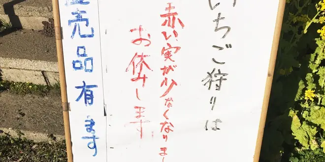 弾丸 千葉 女子旅