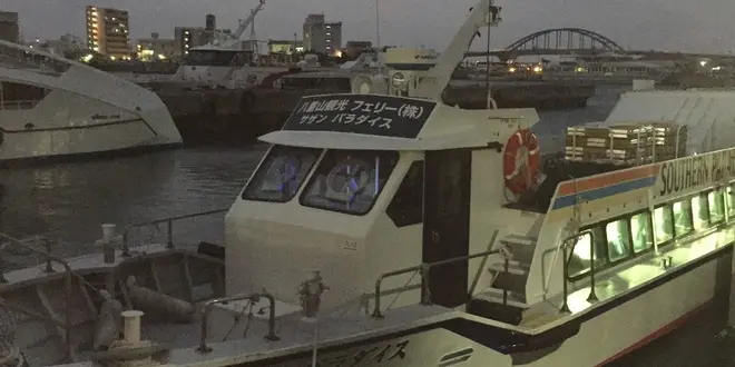 日本のジャングル西表島へ