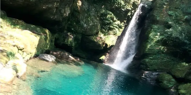 〜癒しの高知旅〜