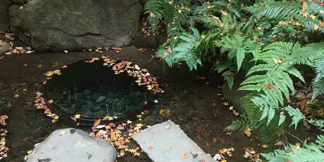 都内、徒歩でパワースポット巡り♡渋谷近辺編