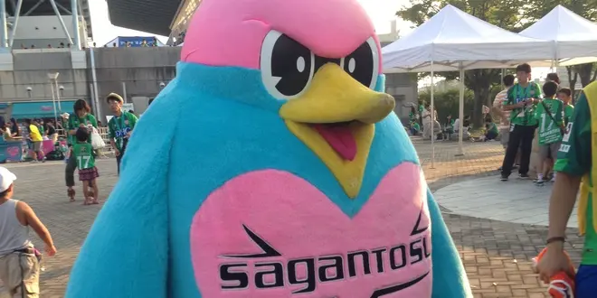 佐賀とイカとサッカーと。