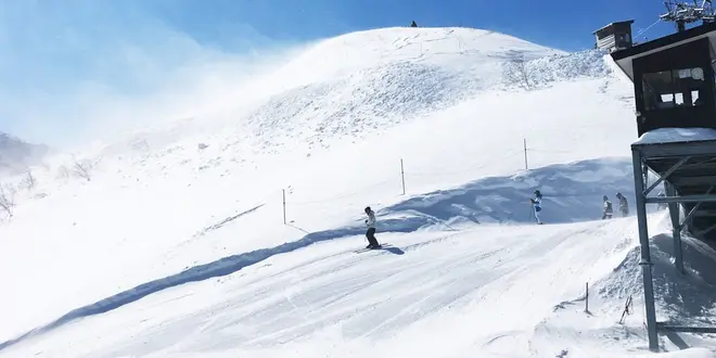 たまには、スキー⛷ツアーのバス🚌にでも、乗って、のんびり行きますか‼️