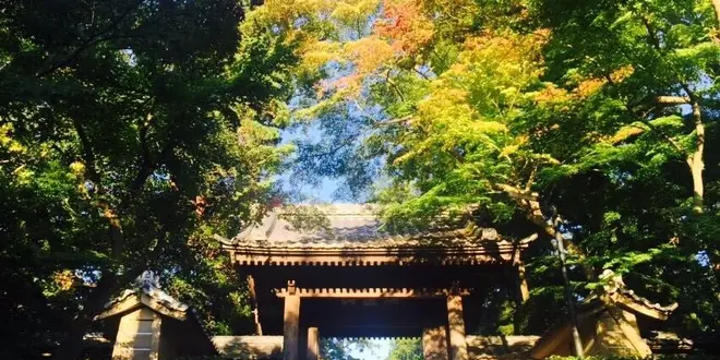 *鎌倉*デート