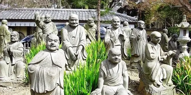 桜の京都で和と洋を楽しもう。