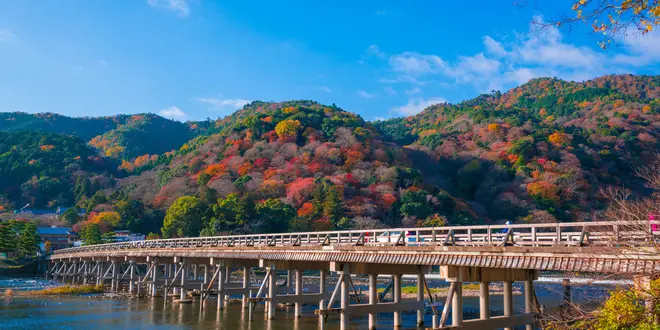 京都なぞメン
