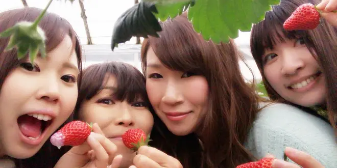 女子旅 珍道中－。神奈川〜山梨