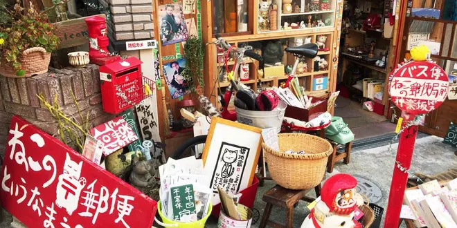 猫探し、裏路地狭い道の旅