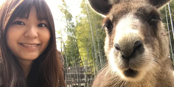カンガルーと自撮りできる♡東京から1時間半の動物スポット。