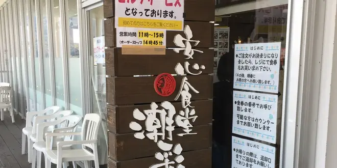 海鮮昼食と向島の寒桜