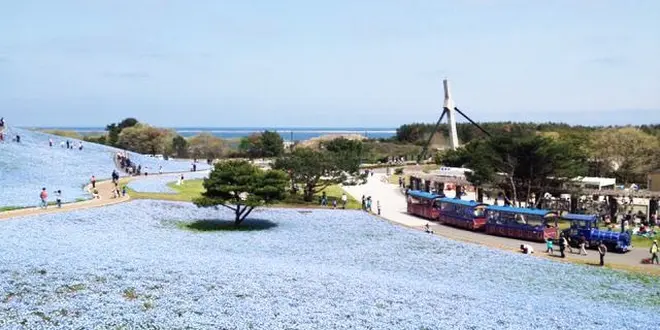 海うみ。元気がでるドライブデート！