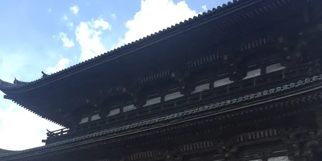 仁和寺の御室桜