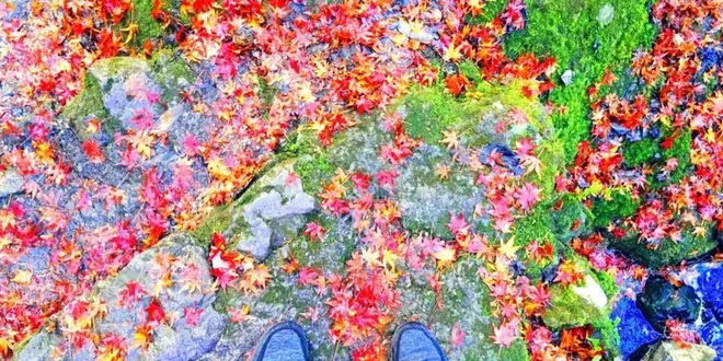 東京にこんなところが！？おすすめパワースポット【東京都檜原村】